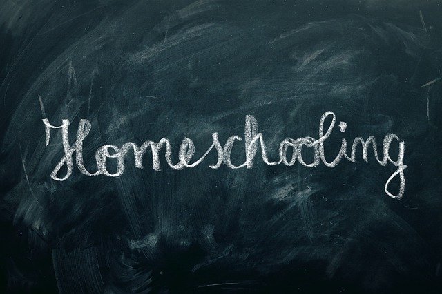  Kemendikbud: Banyak Orang Tua Tanya Pendaftaran Homeschooling